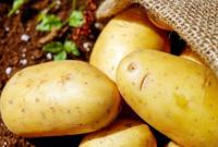 Експерти прогнозують подорожчання картоплі