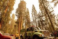 Многочисленные лесные пожары в Калифорнии, угрожают столетним гигантским секвойям