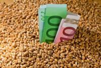 Сильні морози викликали ріст цін на пшеницю