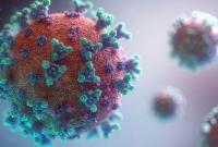 В Швеции обнаружили “бразильский” штамм коронавируса