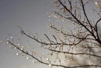 Синоптики: 25 февраля в Украине местами пройдут дожди с мокрым снегом