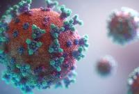 В Україні за добу - 8 003 випадки коронавірусу