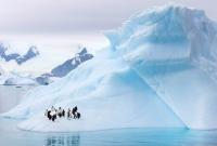 В Антарктиде откололся айсберг размером в целый город