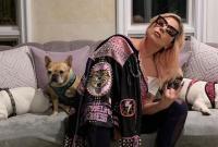 История с похищением собак Леди Гаги получила неожиданную развязку