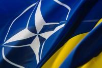 Представительство НАТО в Украине назвало основные достижения сотрудничества за год