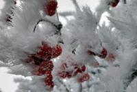 Синоптики прогнозируют морозы до -11 ° и снег