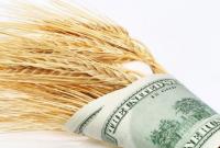 Ціни на українську пшеницю стали найбільшими за останні 6 років