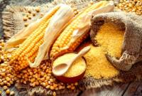 Україна у 2020 році скоротила експорт пшениці та кукурудзи