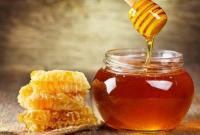 Україна встановила рекорд з експорту меду в країни ЄС