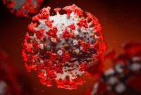 В Польше обнаружили британский штамм коронавируса