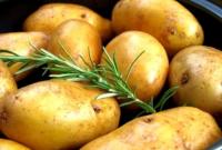 Україна є країною з одним із найбільших дефіцитів картоплі у світі
