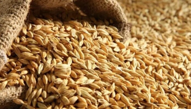 рф уже украла у Украины около 400 тысяч тонн зерна