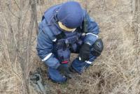 Украинцам напомнили правила обращения со взрывоопасными предметами