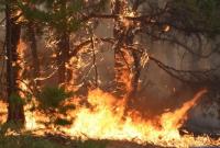 Вблизи Чернобыльской АЭС горят леса – Украина сообщила МАГАТЭ о работе пожарных
