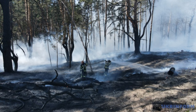 Масштабных лесных пожаров в Чернобыльской зоне нет – в МВД говорят, что огонь потушили