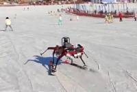 У Китаї представили робота-лижника