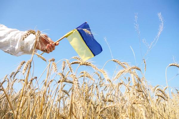 День Независимости Украины 2023: история и традиции главного праздника страны