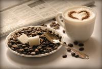 10 фактов о влиянии кофеина на организм человека