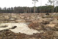 Полиция заявляет о стабилизации ситуации с добычей янтаря в Ровенской области