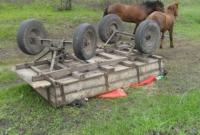 В Сумской области перевернулась повозка: двое погибших