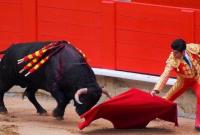 В Испании впервые за 30 лет бык убил тореадора