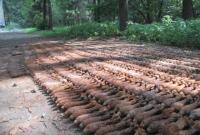 Почти 1700 мин времён Второй мировой войны обнаружили в Хмельницкой области