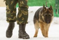 Собака не дала провезти наркотики из Запорожья в Донецк