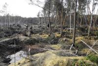 На Волыни пограничники обнаружили два места незаконной добычи янтаря