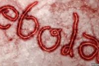 ВООЗ заявила, що спалах еболи вже не становить міжнародної надзвичайної ситуації
