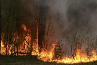Синоптики предупреждают о чрезвычайной пожарной опасности 6-12 сентября