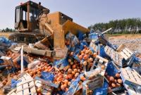 В РФ раздавили бульдозерами более 2500 тонн санкционных продуктов