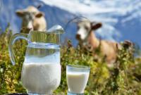 Украинцы сократили сдачу молока для переработки на 22%