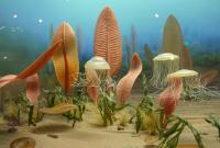 Смена полюсов Земли привела к массовому вымиранию 550 миллионов лет назад