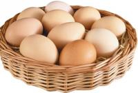 Киевская область лидирует по объему производства яиц в Украине