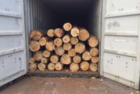 CБУ блокировала незаконный экспорт древесины