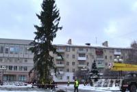 В центре Ровно начали устанавливать новогоднюю елку