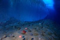 Ученые показали на видео, как выглядит рельеф дна океана без воды