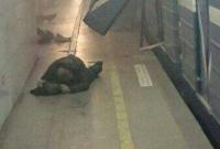 Бомба в питерском метро могла взорваться случайно – росСМИ