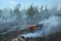 На военном полигоне в Днепропетровской области произошел новый пожар