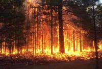 В Испании горит национальный парк, эвакуированы около 300 человек