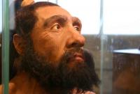 Новые исследования показали, что неандертальцы были не глупее людей