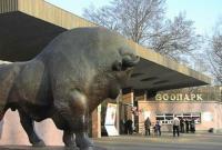 Первую очередь реконструкции киевского зоопарка планируют завершить весной