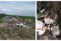 Под Киевом обнаружили 60 тонн мусора из Львова