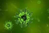 Ученые предложили уничтожать супербактерии вирусами