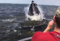 Горбатый кит напугал рыбаков из Нью-Джерси