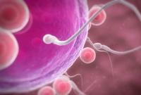 Медики испытали новый тип контрацептива для мужчин