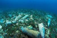 К 2050 году пластика в океане может быть больше, чем рыбы - ООН (видео)
