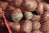 По всей стране на рынках выросли цены на картофель