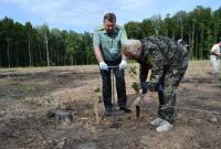 Сколько новых лесов посадили в Украине за 5 лет