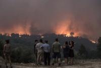В Португалии пятый день подряд бушуют масштабные пожары